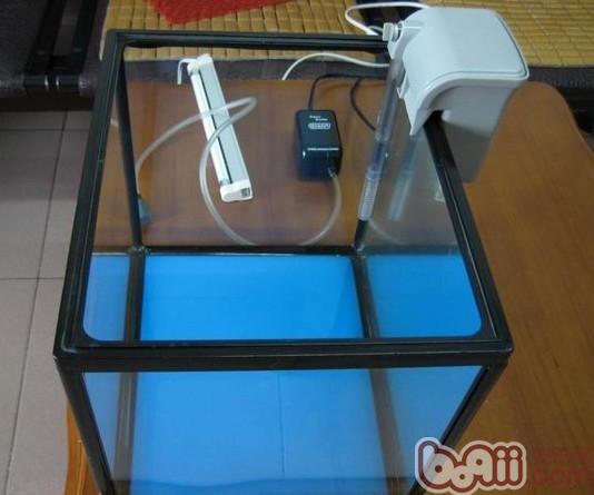 如何选购合适的鱼缸气泵和气泵的使用方法和经