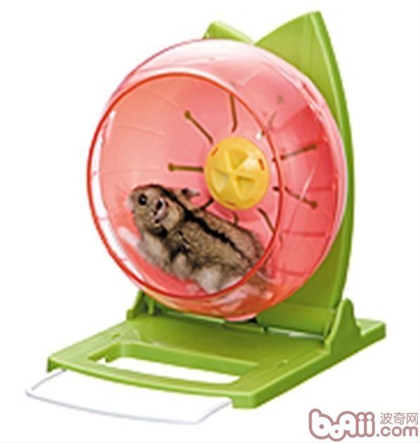 仓鼠的跑轮介绍|小宠养护-波奇网百科大全