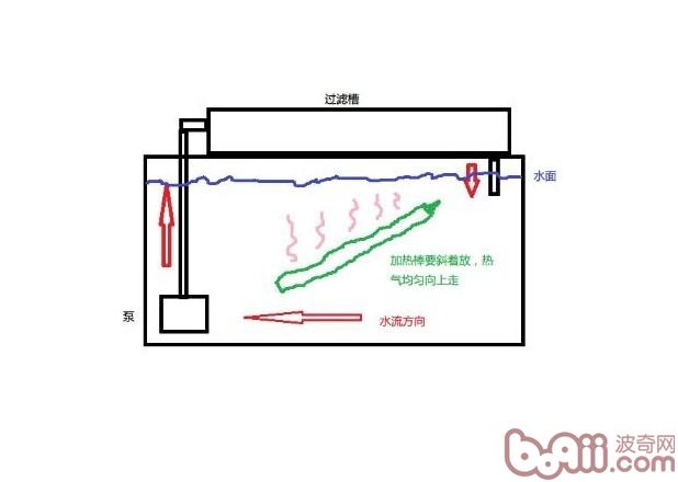 加热棒除了电源以外其他部分都不要露出水面。 如果水族箱内安装两个加热棒,尽量将它们分别安装在缸的两边,有利于均匀加热。对于一些不敏感的鱼,最好给加热棒加一个套管,可以防止鱼被烫伤。 使用加热棒应该注意的问题 1、加热棒在空气中切勿通电。因为其在空气中升温极速,轻则烧坏加热棒,重则炸碎玻璃或烧伤手。即使断电后也不能立刻从水中拿出来,这时候的温度也是非常高的,同样容易烫伤人和烧坏加热棒。 2、教育小孩不要触碰加热棒。 3、加热棒的寿命:我们建议双金属片加热棒使用一至两年就应该更换了,