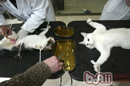 手术后一般6-7天伤口基本愈合