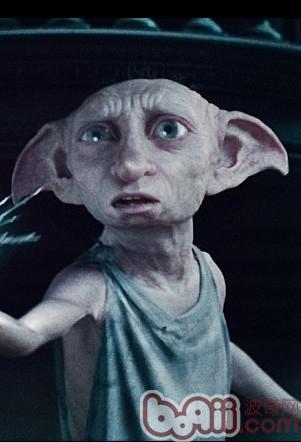 美国女子培育无毛猫酷似"精灵"